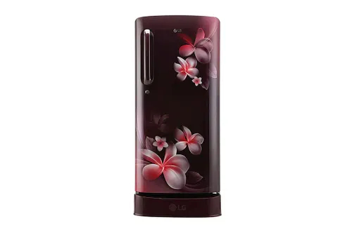 lg.webp