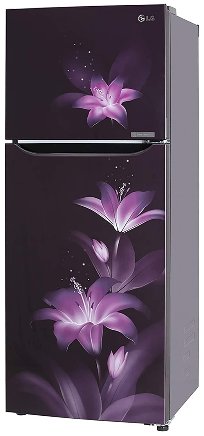 GL-T292SPG3 260 Ltr Double Door Refrigerator