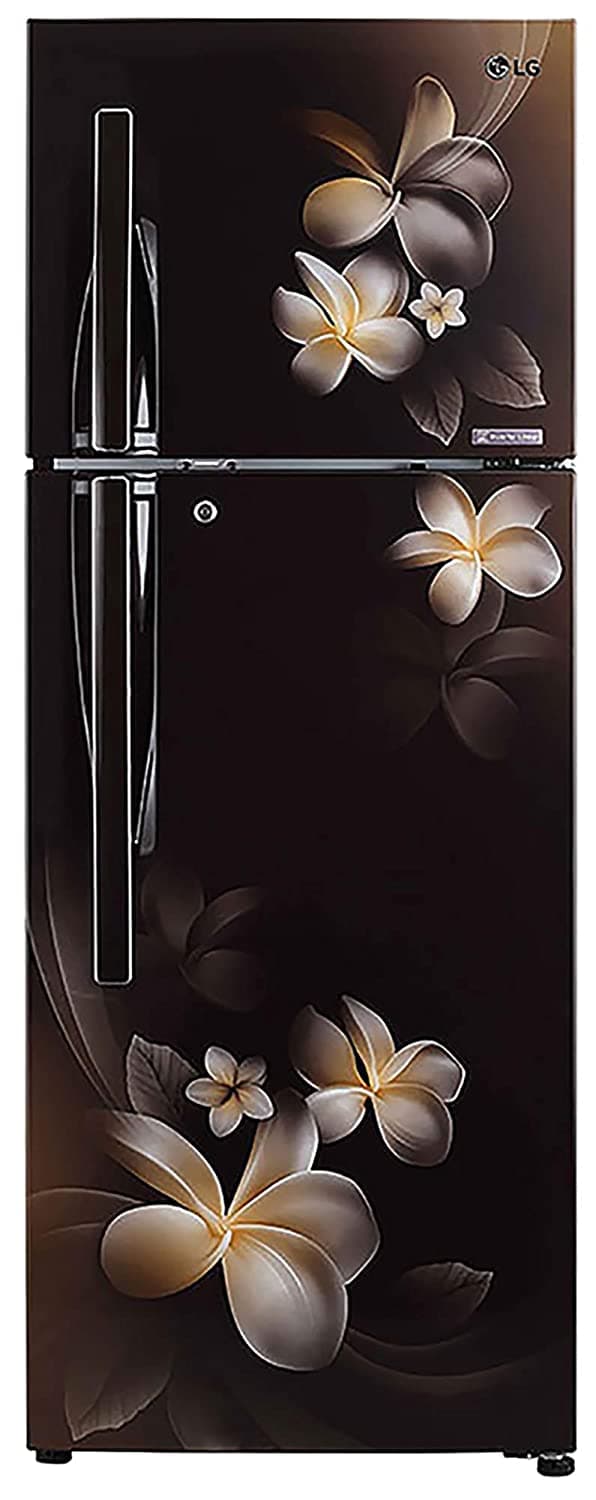 GL-T322RHPN 308 Ltr Double Door Refrigerator