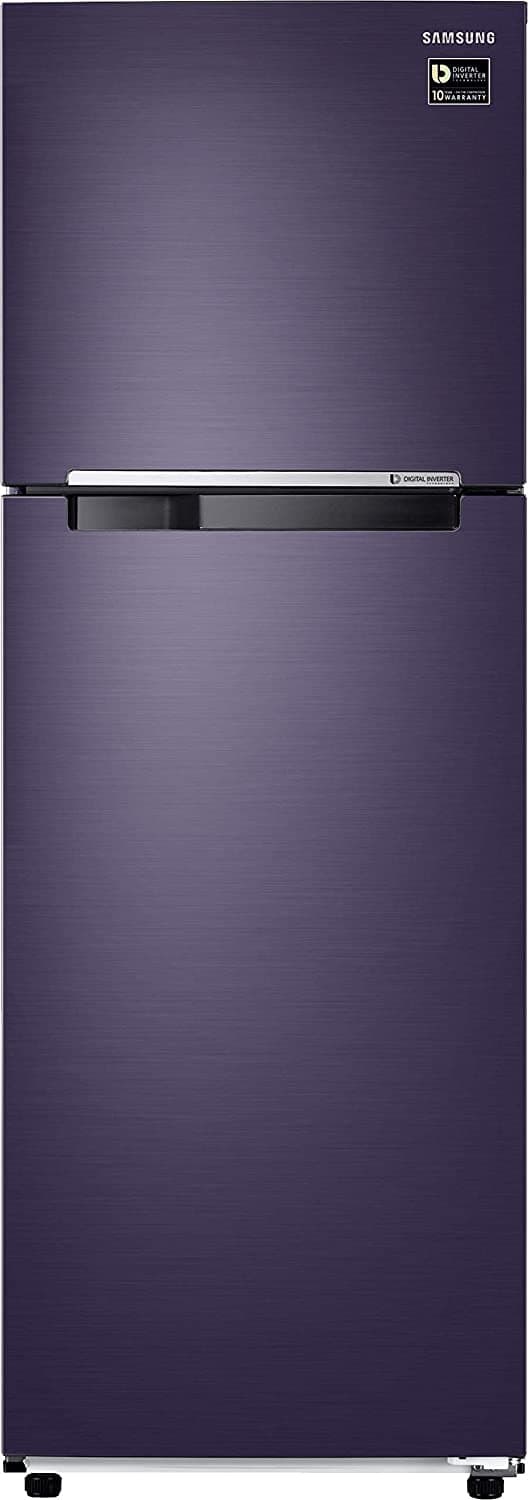 RT30T3082UT 272 Ltr Double Door Refrigerator