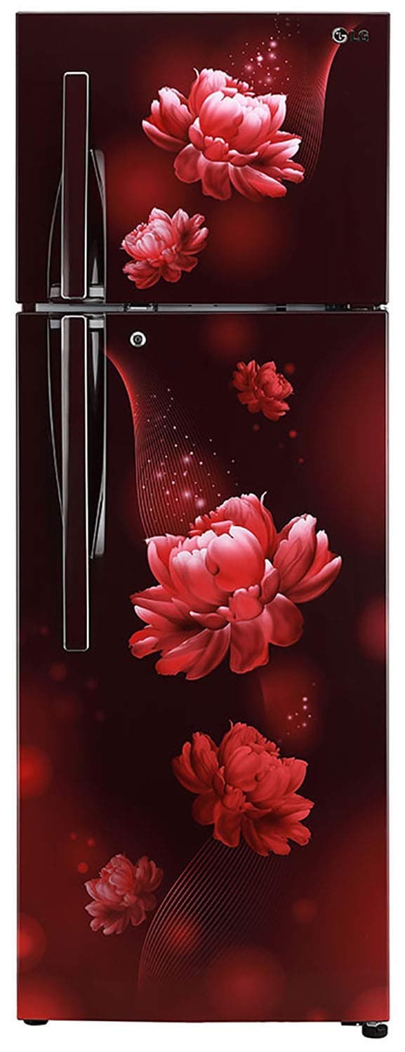 GL-T302RSCY 284 Ltr Double Door Refrigerator