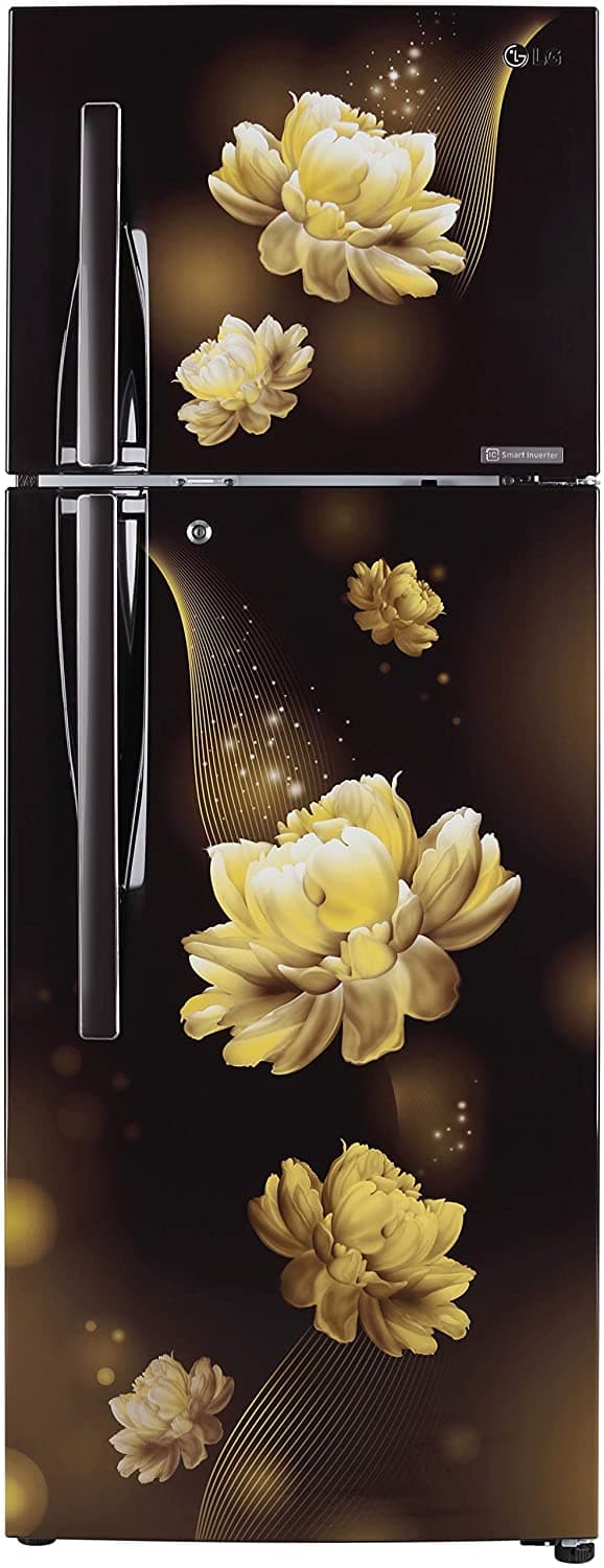 GL-T302RHCY 284 Ltr Double Door Refrigerator