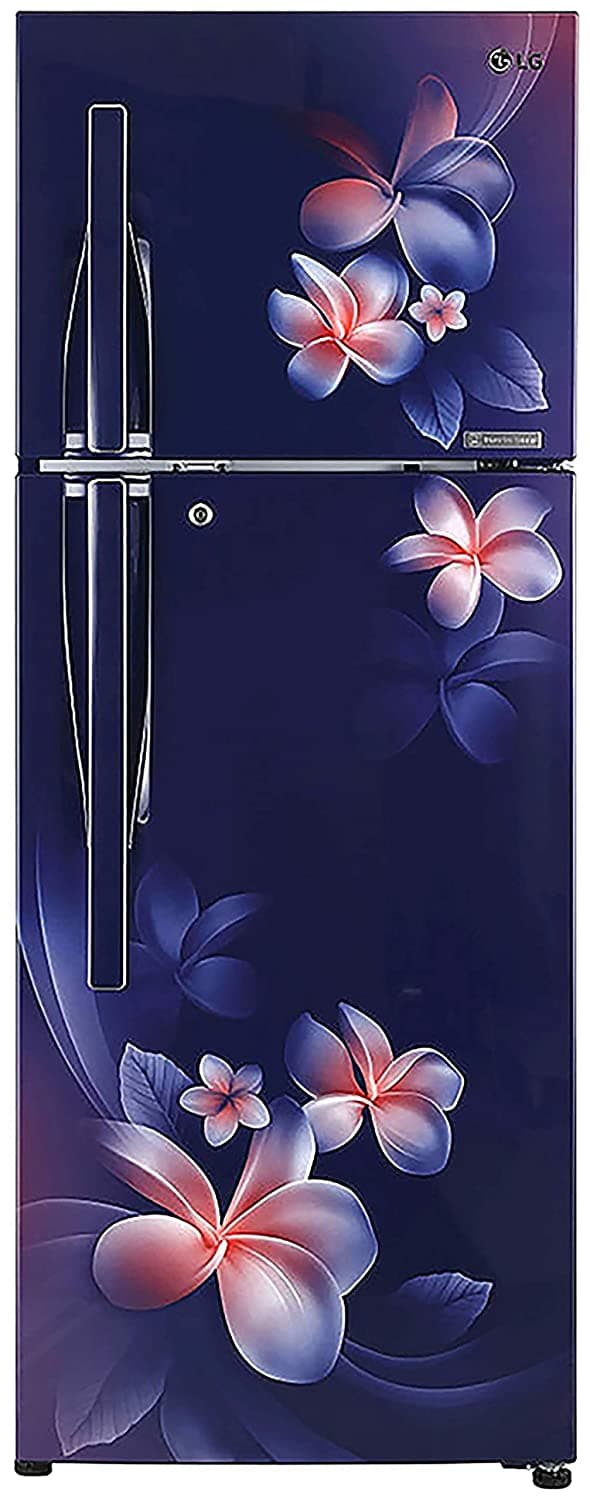 GL-T302RBPN 284 Ltr Double Door Refrigerator