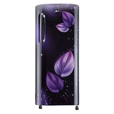 GL-B241APVD 235 L Single Door Refrigerator with Anti Bacterial Gasket in Purple Victoria Color