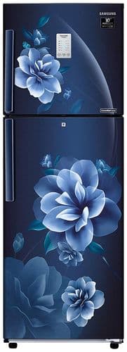 RT28T3953CU 253 Ltr Double Door Refrigerator