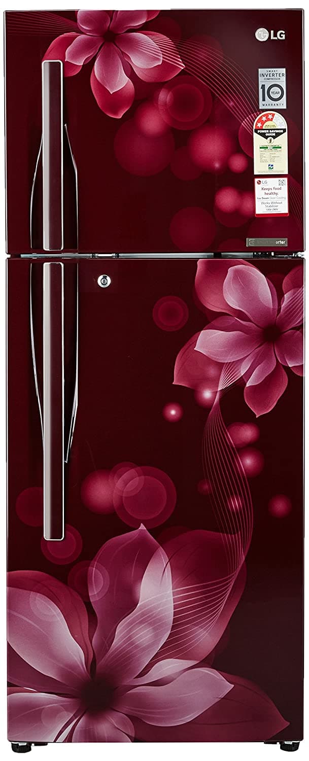 GL-T292RSOY 260 Ltr Double Door Refrigerator