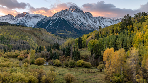 Tips (4).png Tips (4).png