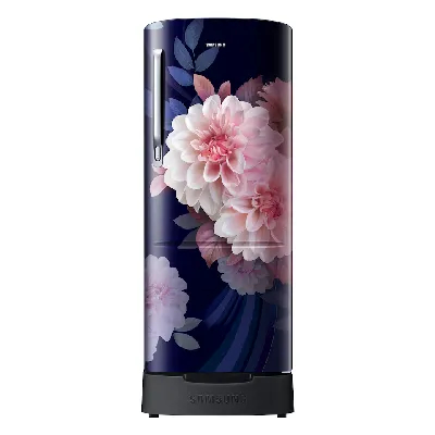 RR20F2825BB 183 L Single Door Refrigerator RR20F2825BB 183 L Single Door Refrigerator